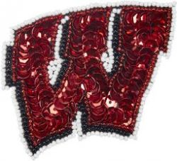WISCONSIN SEQUINS & BEADS HAIR CLIP