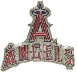 ANGELS PRIMARY PLUS PIN