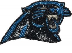 PANTHERS GRACE SEQUINS & BEADS HAIR CLIP